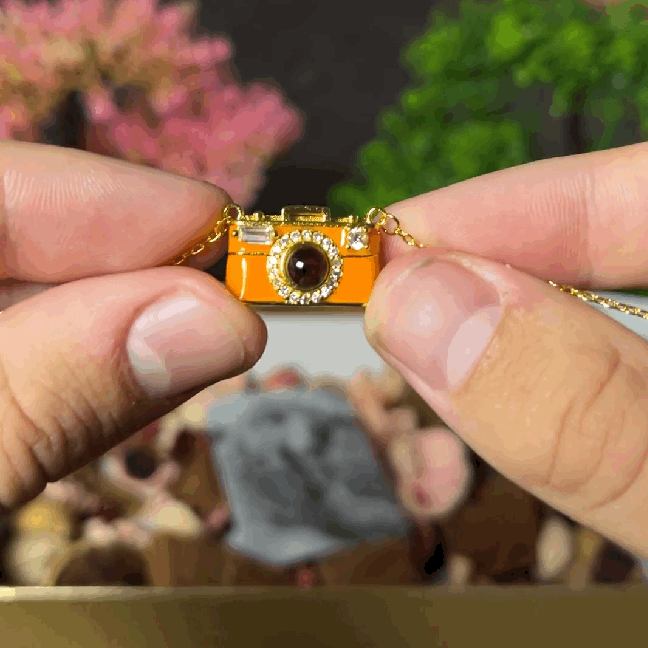 Camera Necklace Anna Finds