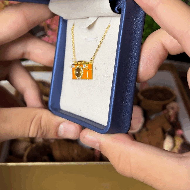 Camera Necklace Anna Finds