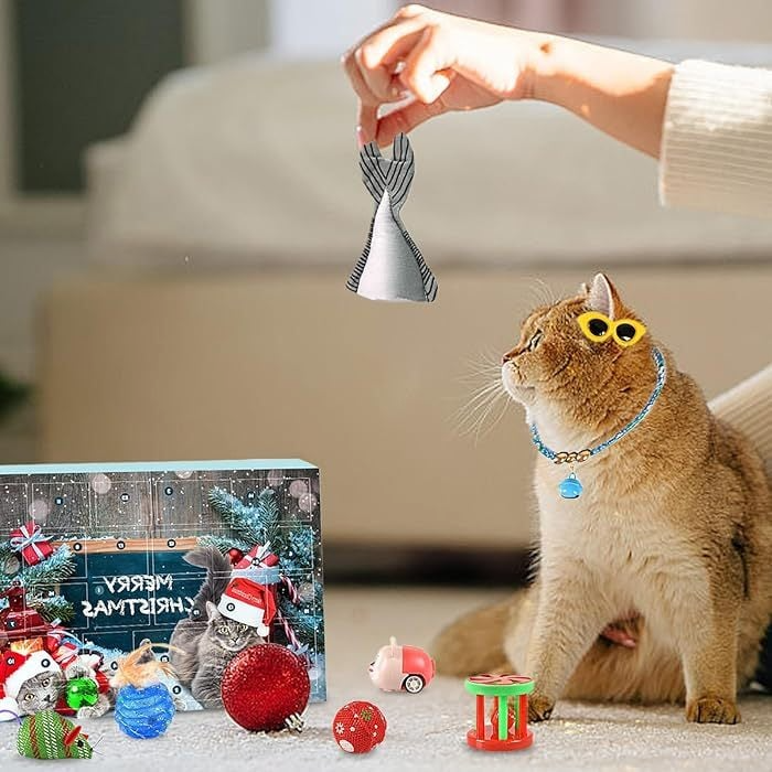 🔥Last 48 hours 50% OFF - 🐱2024 Christmas Countdown Cat Toys Advent Calendar xigoot