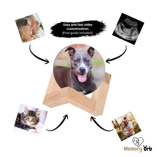 Memory Sphere Lamp Viralhuntz