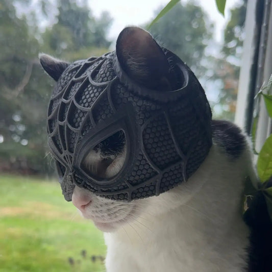 SPIDER CAT MASK™ Cat Bat