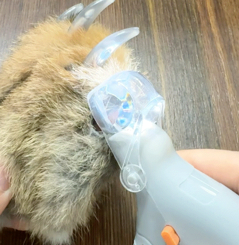 PawVision Pro LED Clippers Pawthantics