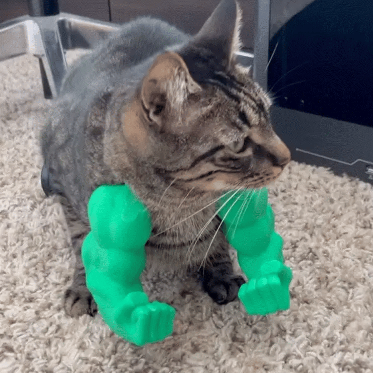 Muscle Cat Arms Shopiy max