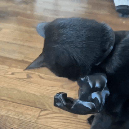 Muscle Cat Arms Shopiy max