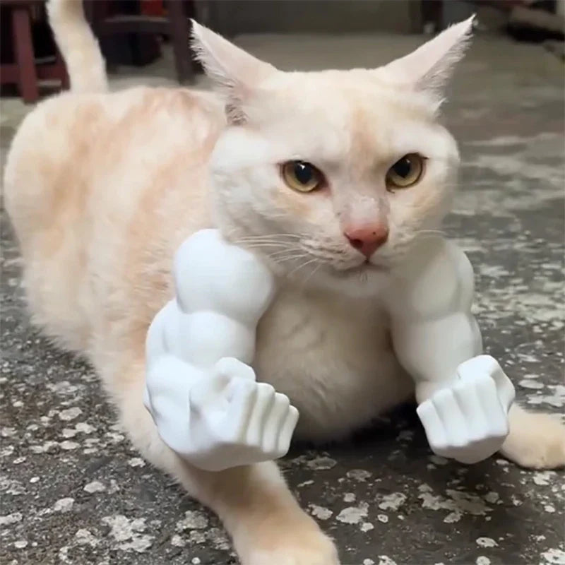 Muscle Cat Arms Shopiy max
