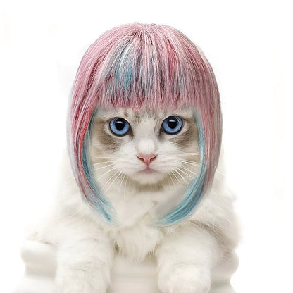 The Original Cat Wig Viralhuntz