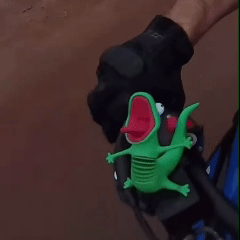The Lizard RIDEBUDDY™ Ride Buddy