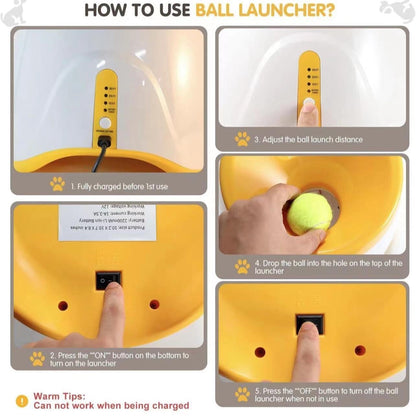 Automatic Dog Ball Launcher for Small to Medium Dogs LunaFinds