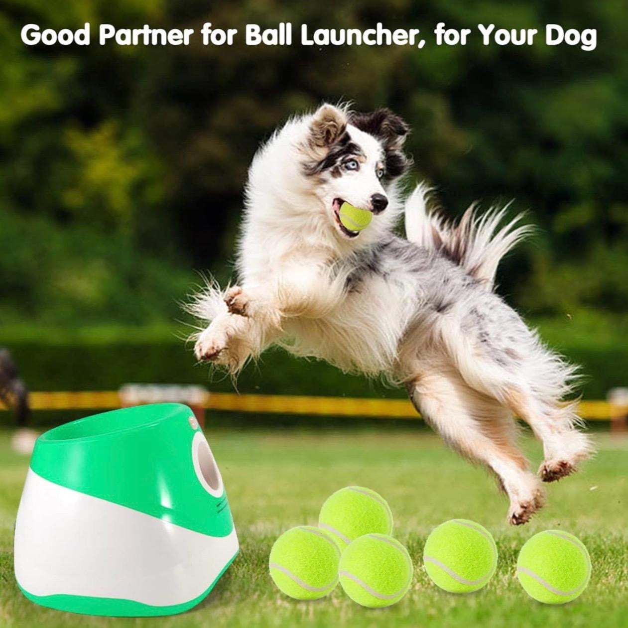 Automatic Dog Ball Launcher for Small to Medium Dogs LunaFinds
